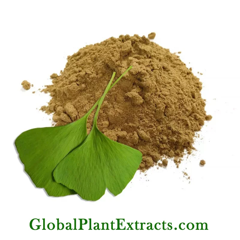 Ginkgo Biloba Extract