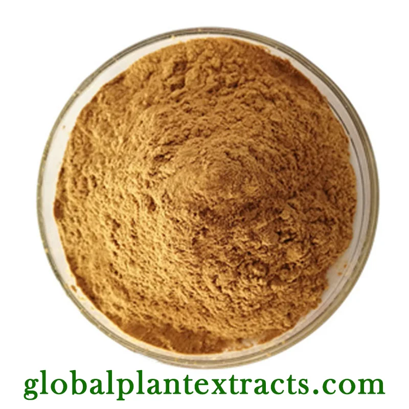 Kochia Scoparia Extract (Kochiae Fructus)
